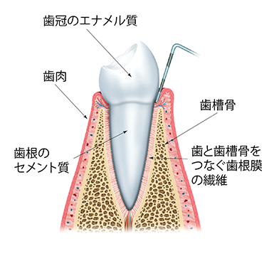 どうして起こるの？